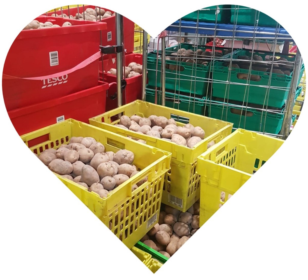 Crates full of potatoes